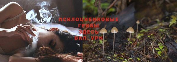 марки lsd Абаза